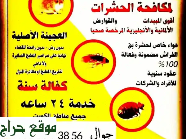 ودّع الحشرات نهائيًا! مكافحة حشرات فعّالة وبأسعار...