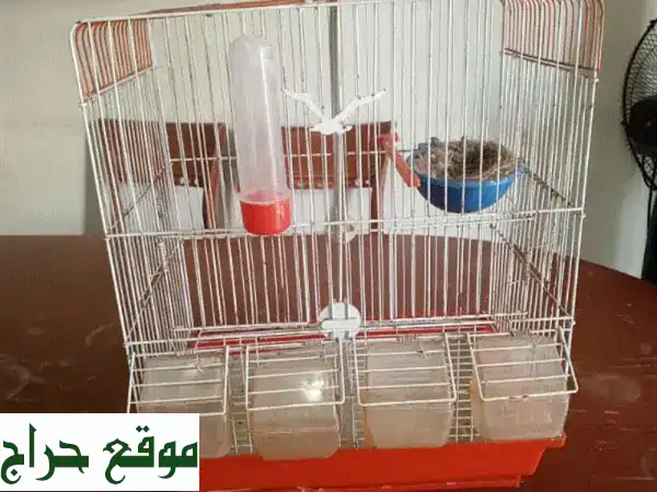 أربعة أقفاص حمام شبه جديدة - مثالية لحمامك!