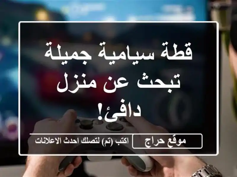 قطة سيامية جميلة تبحث عن منزل دافئ!