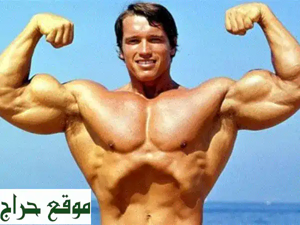 حقق قوامك المثالي في 40 دقيقة يوميًا! برنامج غذائي...