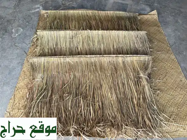 قش المالديف الإندونيسي الفاخر - جودة عالية بسعر لا يُقاوم!