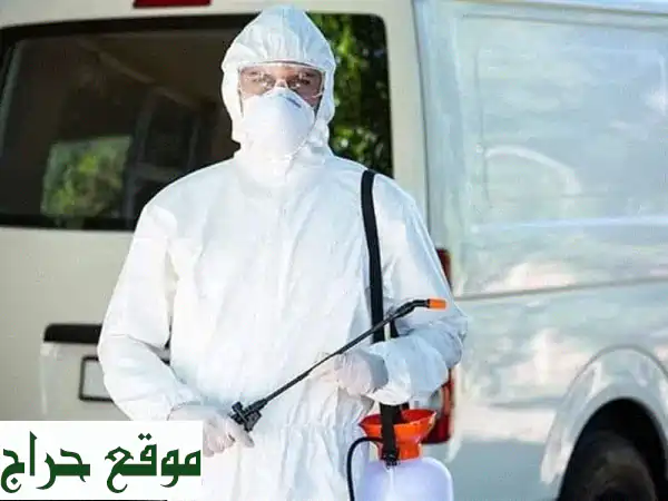 ودّع حشرات جدة للأبد! شركة متخصصة بمكافحة...