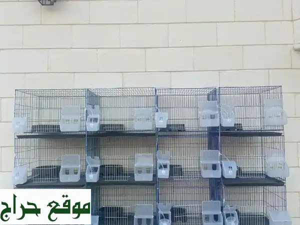 650 محاكي سلاكات جديدة للبيع بالجملة في العين!...