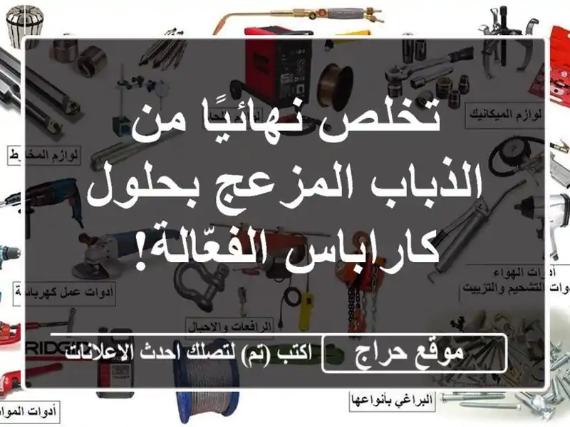 تخلص نهائيًا من الذباب المزعج بحلول كاراباس الفعّالة!