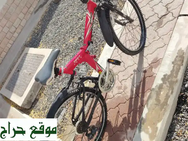 ثلاث دراجات هوائية للبيع - حالة ممتازة! أسعار لا تُفوّت!