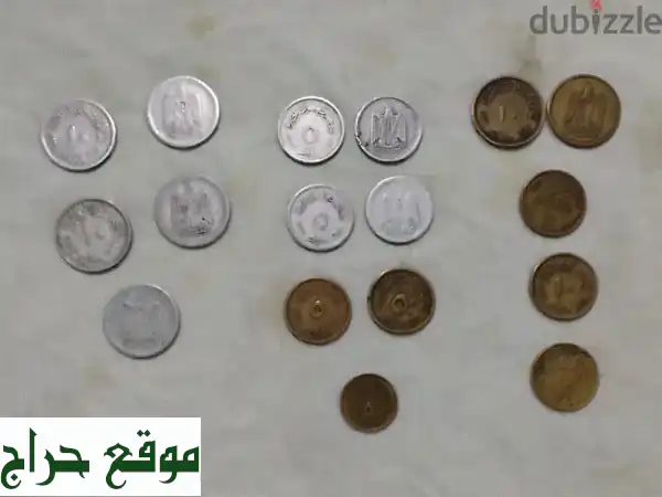 كنز من العملات المصرية القديمة والنادرة! فرصة ذهبية لعشاق التاريخ