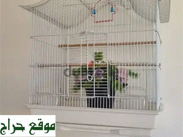 قفص طيور أبيض كالجديد - مثالي لصديقك الريشي!