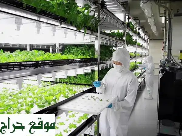 أتقن الزراعة المائية والبيوت المحمية الذكية:...