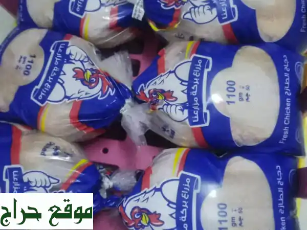 دجاج مبرد طازج وعالي الجودة - أسعار لا تُقاوم! (800-1000 جرام)