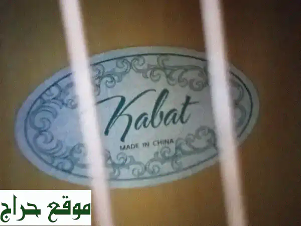 🎸 بيك اب جيتار جديد! توصيل سريع لجميع أنحاء البلاد...