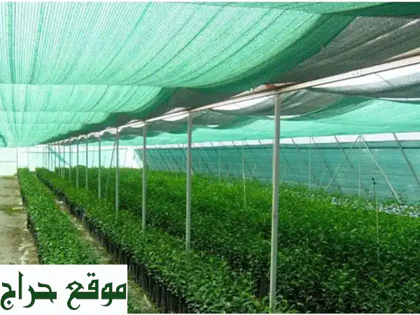 حصاد ثمار النجاح: تأسيس مزارعك الربحية بخبرة عالية
