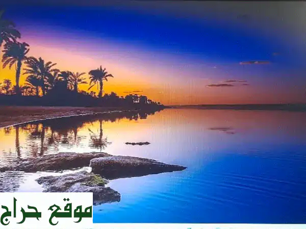 لينوفو IdeaPad 5 - سرعة وأداء لا تُقاوم! ⚡