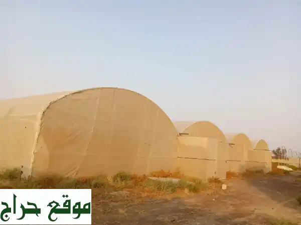 بيوت صناعة متنقلة - حلول مثالية للمزارعين...