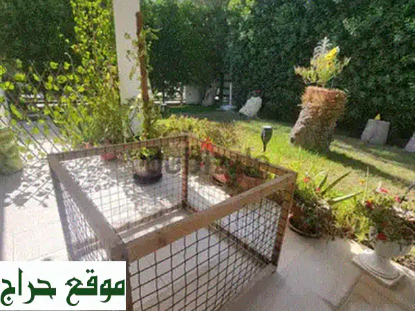كلبٌ رقيقٌ يبحث عن عائلةٍ دافئة!