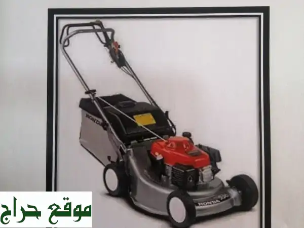 أجمل حدائق صباح السالم بين يديك! 🌷 ترتيب...