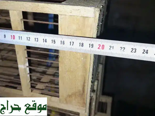 قفص عصفور فاخر: منزل أحلام طائرك الصغير! (صغير & كبير)