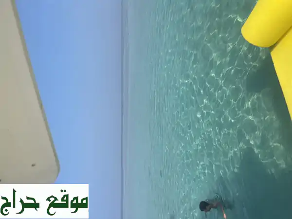 رحلات جزيرة بياضه من جدة: مغامرة بحرية لعائلتك وشبابك!