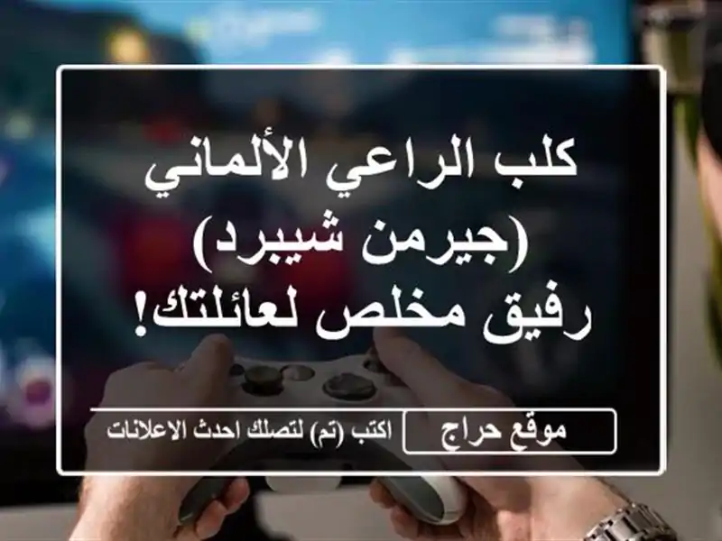 كلب الراعي الألماني (جيرمن شيبرد) - رفيق مخلص لعائلتك!