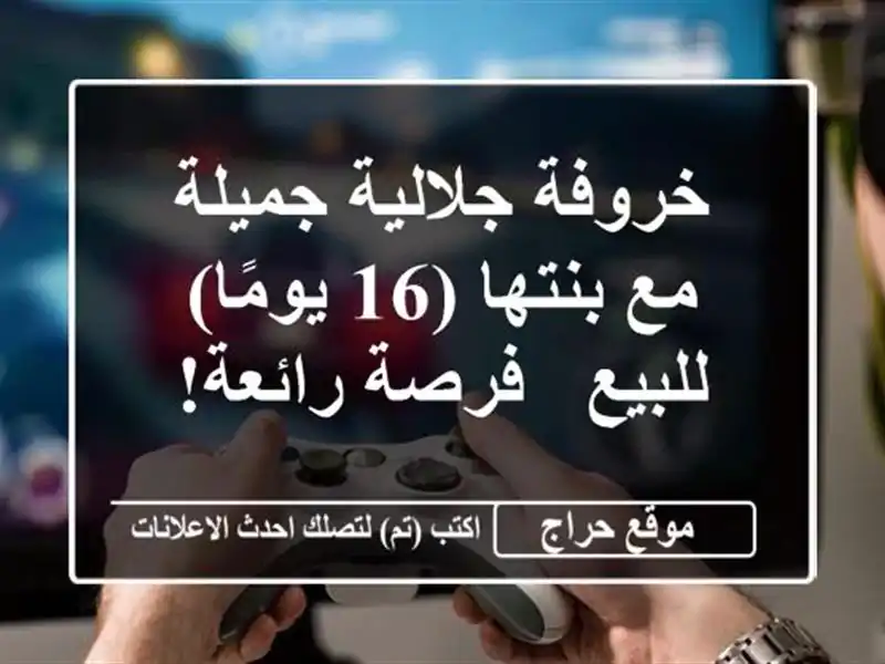 خروفة جلالية جميلة مع بنتها (16 يومًا) للبيع - فرصة رائعة!
