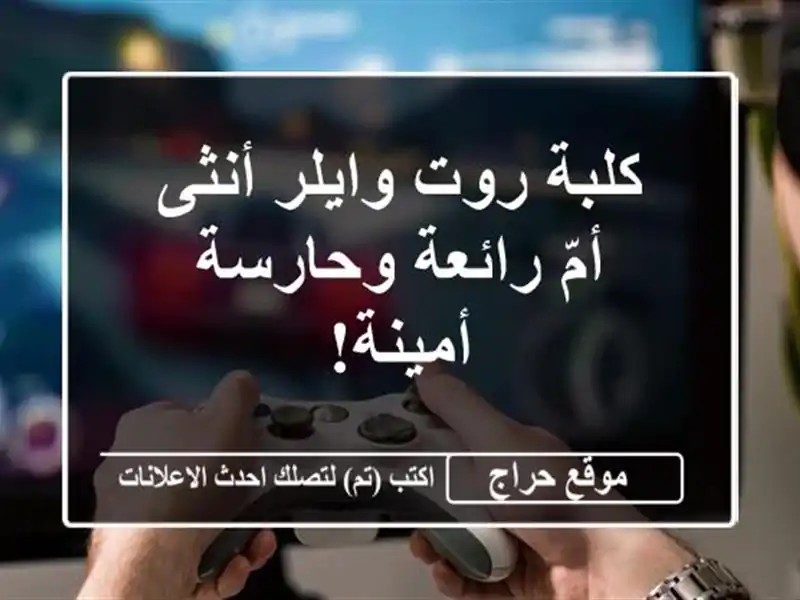 كلبة روت وايلر أنثى - أمّ رائعة وحارسة أمينة!