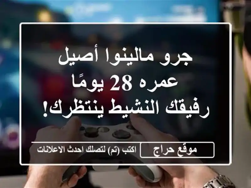 جرو مالينوا أصيل عمره 28 يومًا - رفيقك النشيط ينتظرك!