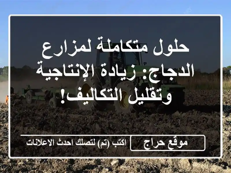 حلول متكاملة لمزارع الدجاج: زيادة الإنتاجية وتقليل التكاليف!
