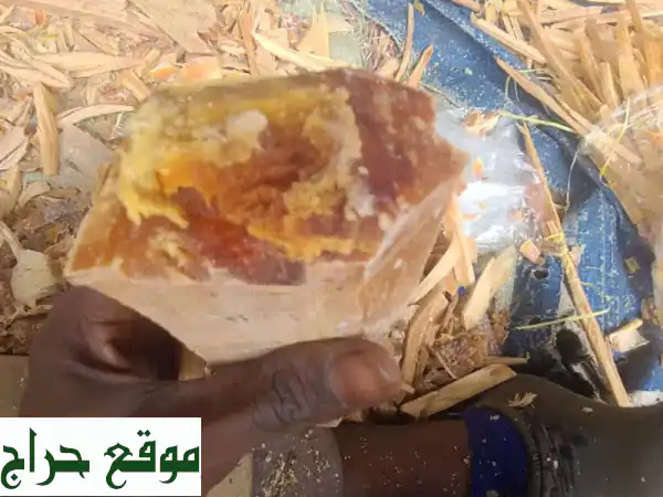 عنبر أفريقي أصلي - جودة عالية بسعر الجملة | عروض مميزة!