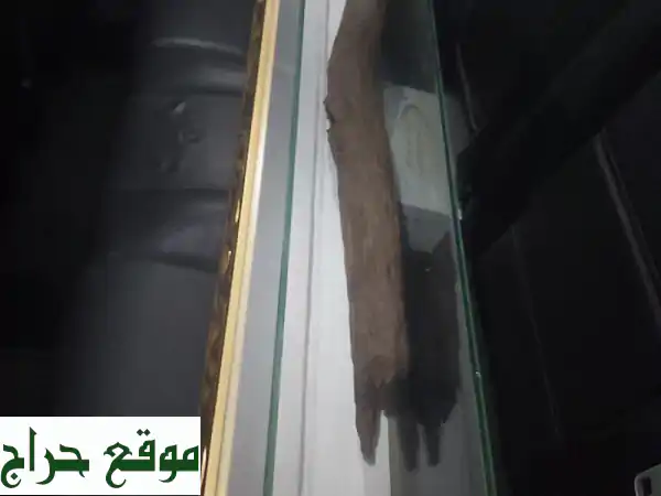 عطر ملكي فاخر: عود أصلي في صندوق مطعم بماء الذهب -...