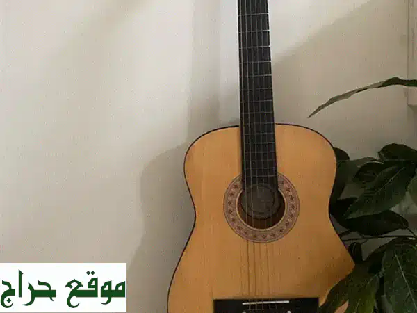 🎸 قيثارة رائعة للمبتدئين - صوتها جميل وسعرها مميز! 🎸