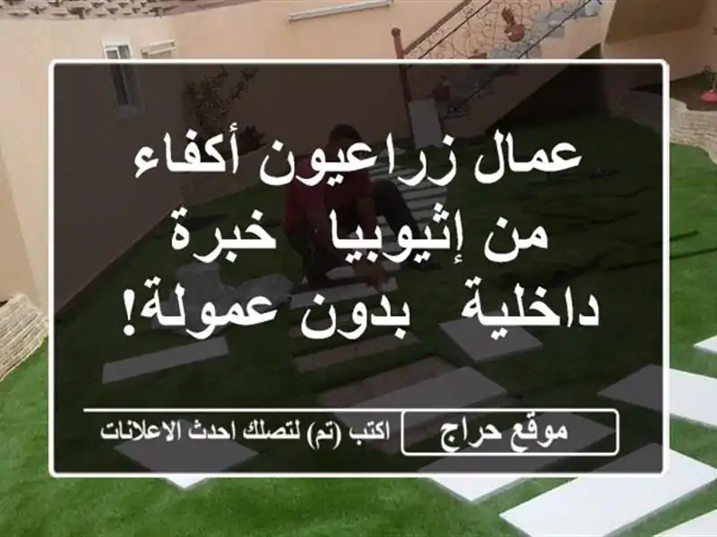 عمال زراعيون أكفاء من إثيوبيا - خبرة داخلية -...