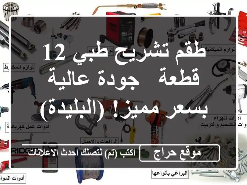 طقم تشريح طبي 12 قطعة - جودة عالية بسعر مميز! (البليدة)