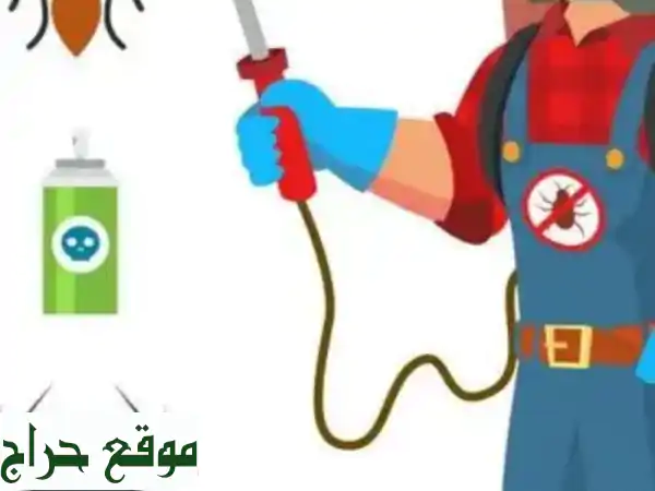 مكافحة حشرات احترافية: تخلص من الآفات نهائيًا مع [اسم شركتك]