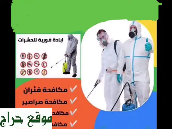 مكافحة حشرات احترافية: تخلص من الآفات نهائيًا مع...