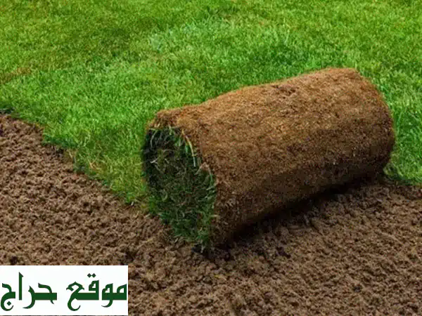 حدائق أحلامك بين يديك | تنسيق وتصميم وتجهيز...