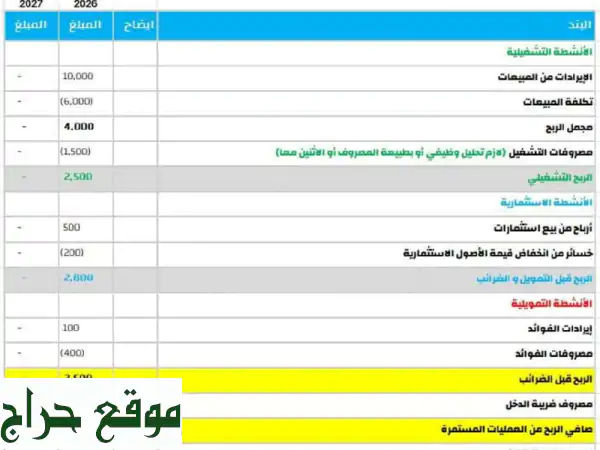 محاسب خبير: تنظيم مالي مثالي لعملك - خدمات...