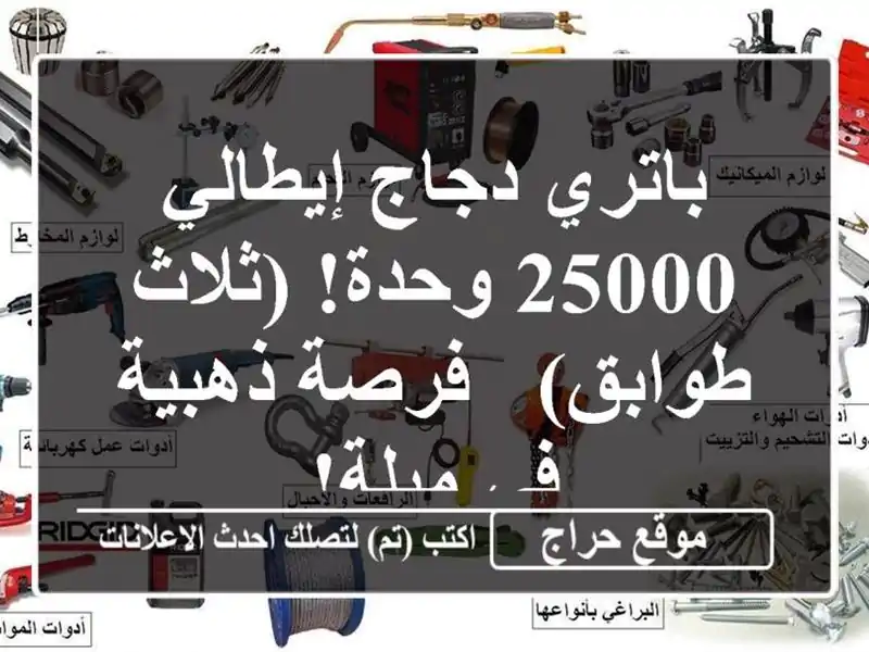 باتري دجاج إيطالي - 25000 وحدة!  (ثلاث طوابق) - فرصة...