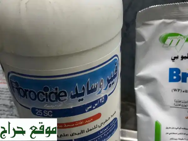 مكافحة حشرات مكة: تخلص من الحشرات نهائيًا بأمان وفعالية!