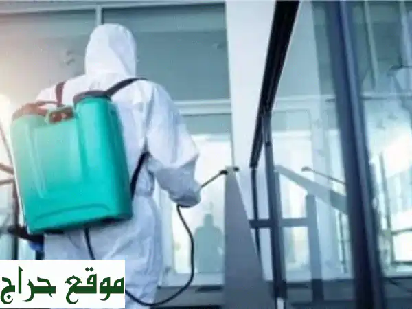 مكافحة حشرات مكة: تخلص من الحشرات نهائيًا...