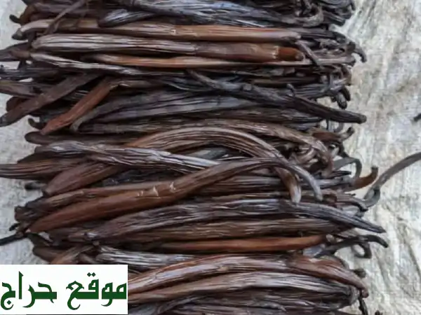 فانيليا أفريقية خام - عطرٌ طبيعيّ يفوح من قلب...