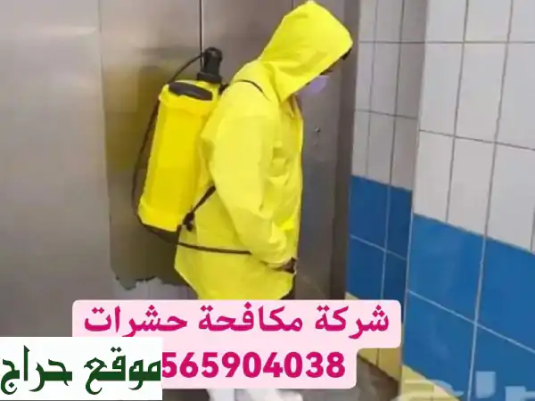 مكافحة حشرات بالمدينة المنورة | تخلص من...