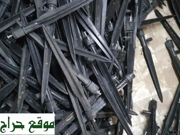 عرض حصري! 370 قطارة خنجر حق النخيل إيطالية الصنع بسعر...