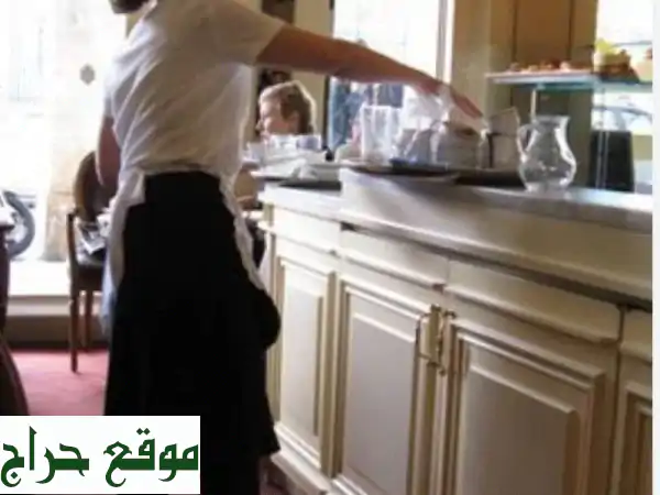 نادلات وباريستا ماهرات - فرص عمل مميزة!