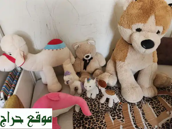 فرصة ذهبية! ألعاب ضخمة جديدة بـ 100 درهم فقط بأبوظبي!