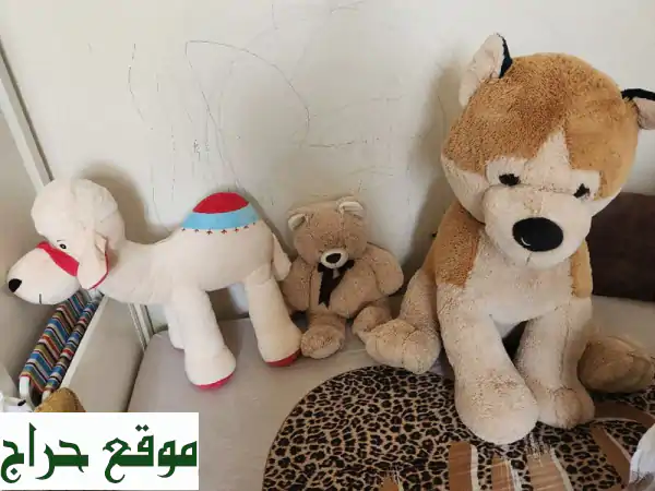 فرصة ذهبية! ألعاب ضخمة جديدة بـ 100 درهم فقط بأبوظبي!