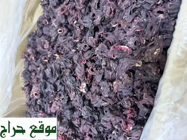 أفضل بذور وأعشاب طبيعية مصرية -  جودة عالية، توصيل سريع لدول الخليج