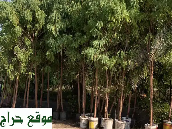 أكثر من 35 عاماً من الخبرة في عالم الزراعة.....