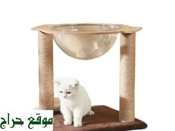 سرّ قيلولة قطتك السعيدة: أسرّة قطط كبسولة Pawsome الفاخرة!