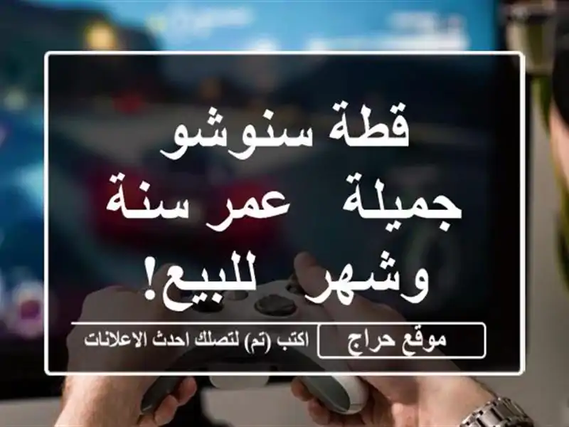 قطة سنوشو جميلة - عمر سنة وشهر - للبيع!  ❤️