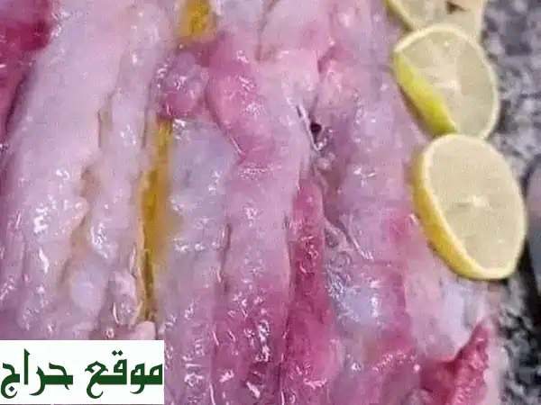 أشهى فسيخ وسردين وبساريا بيتي - طعم لا يقاوم!