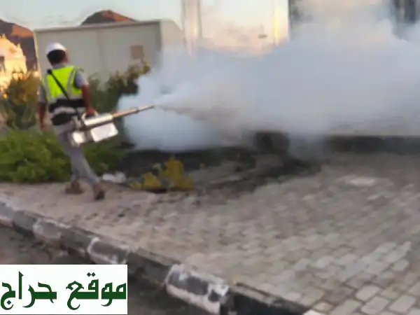 مكافحة حشرات شاملة وفعّالة - تخلص من الحشرات نهائيًا!